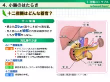 動画教材イメージ（十二指腸はどんな器官？）